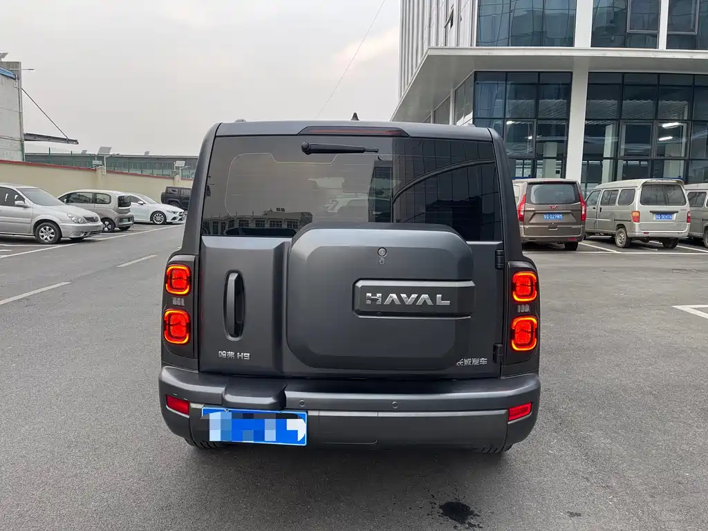 HAVAL H9