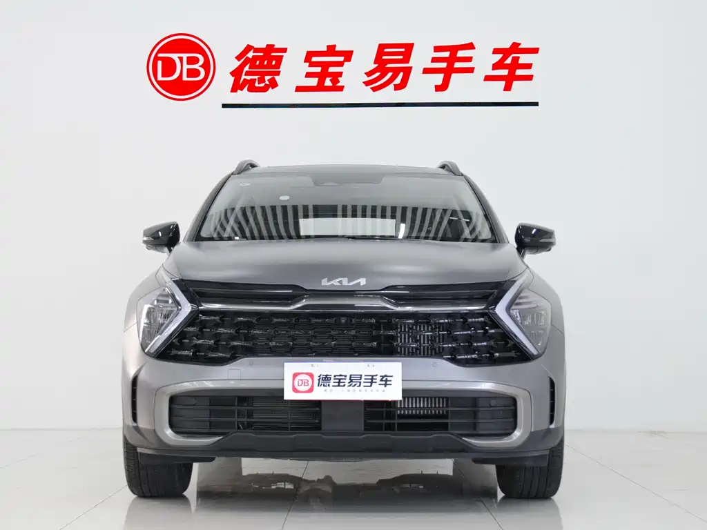 KIA LION PLATINUM EXPANDS THE WORLD