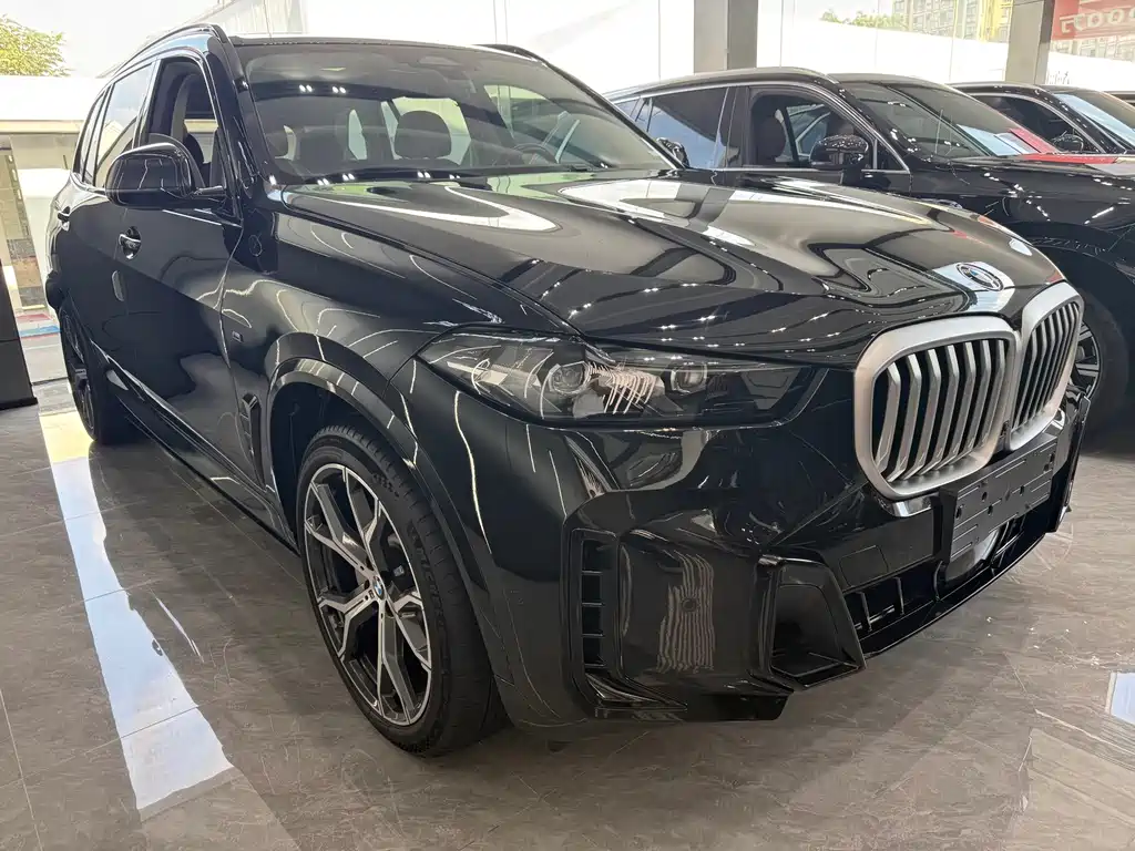 BMW X5 — миниатюра 3