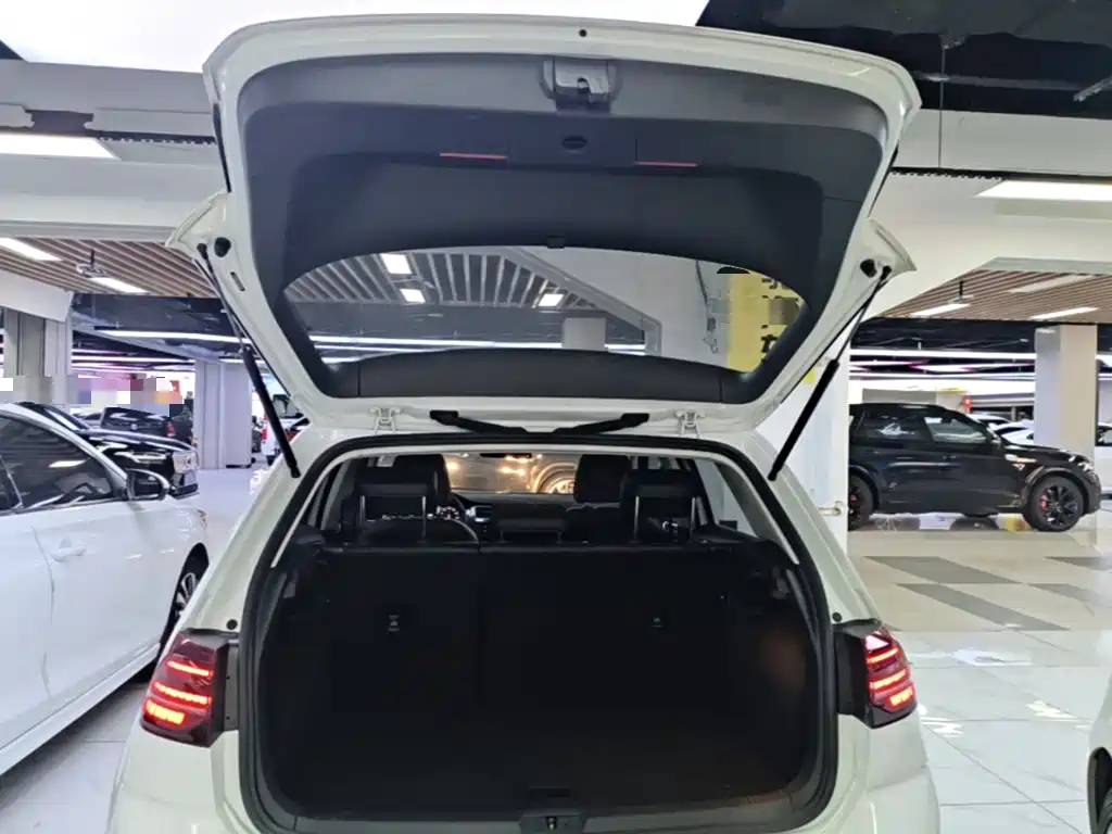 Volkswagen Golf — миниатюра 19