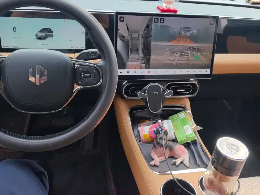Leapmotor Leapmotor C11 — миниатюра 12