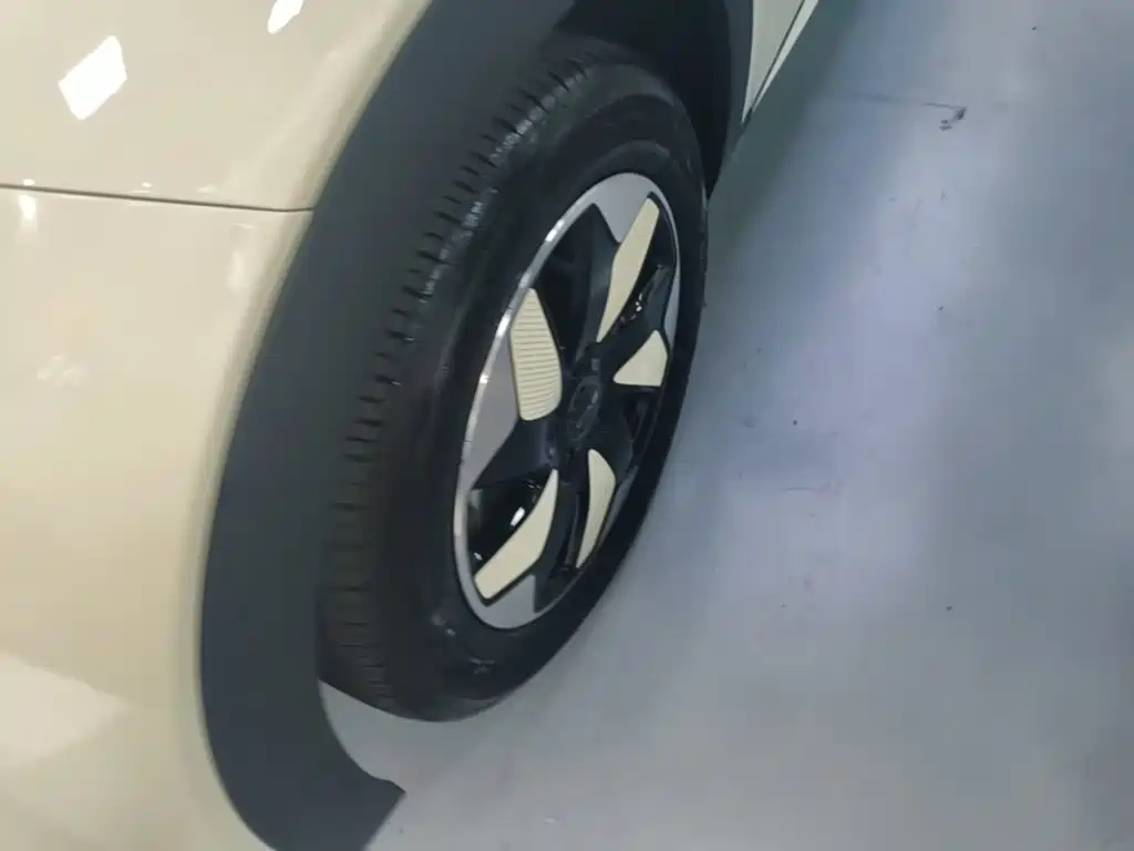 BYD Dolphin — миниатюра 23