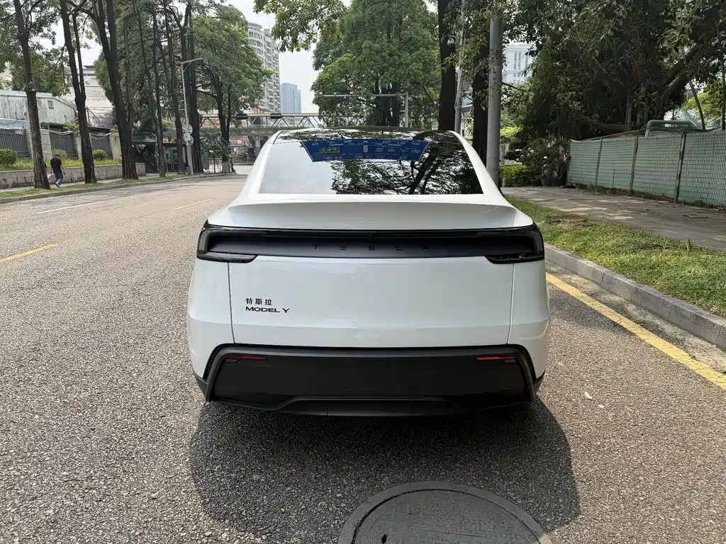 Tesla Model Y — миниатюра 9