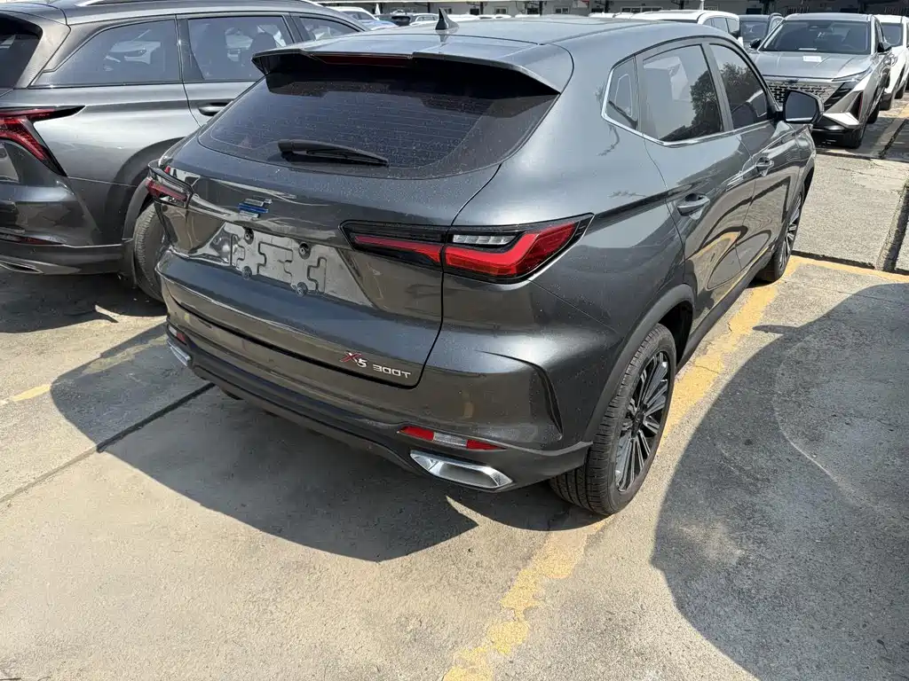 Oshan Oushang X5 — миниатюра 14
