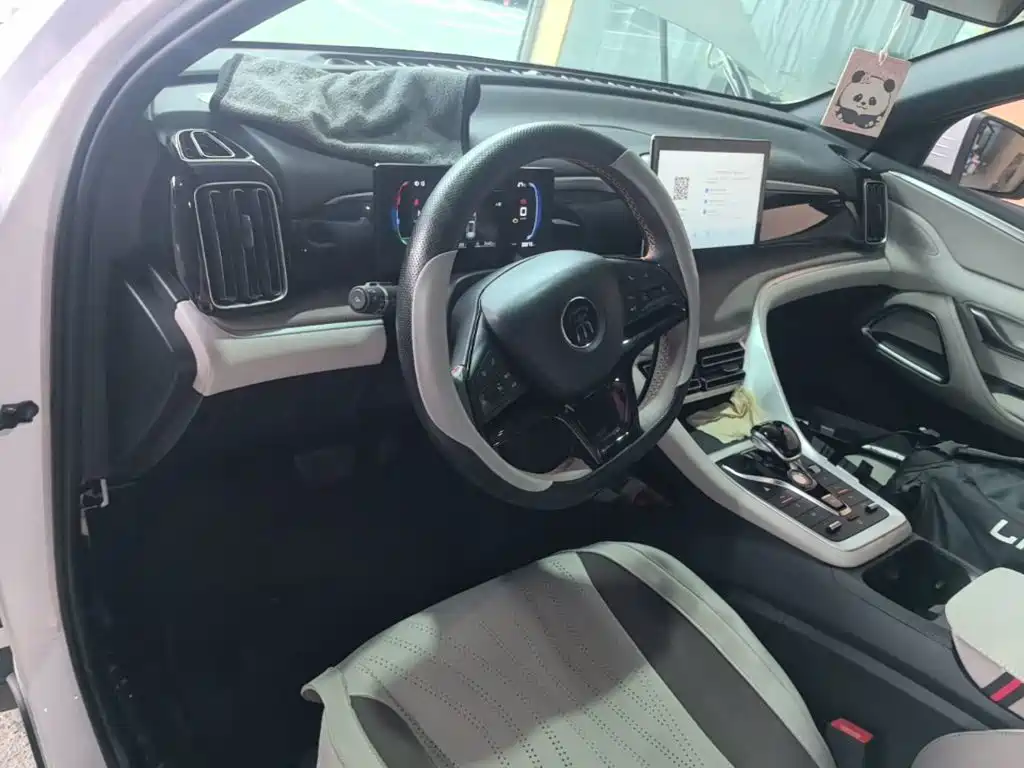 BYD Pro New Energy — миниатюра 10
