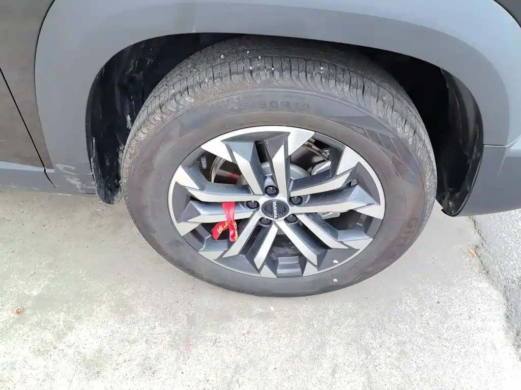 Haval Big Dog — миниатюра 24