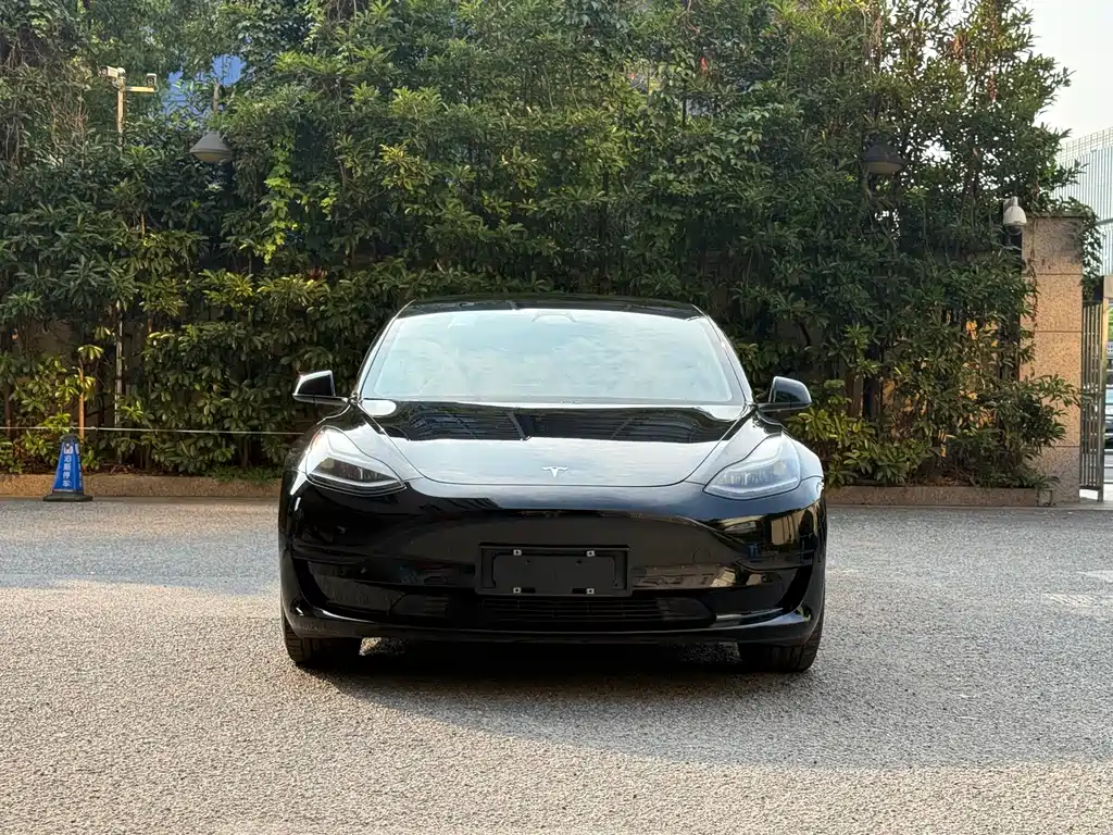 Tesla Model 3 — миниатюра 2
