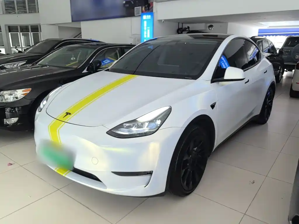 Tesla Model Y — миниатюра 2