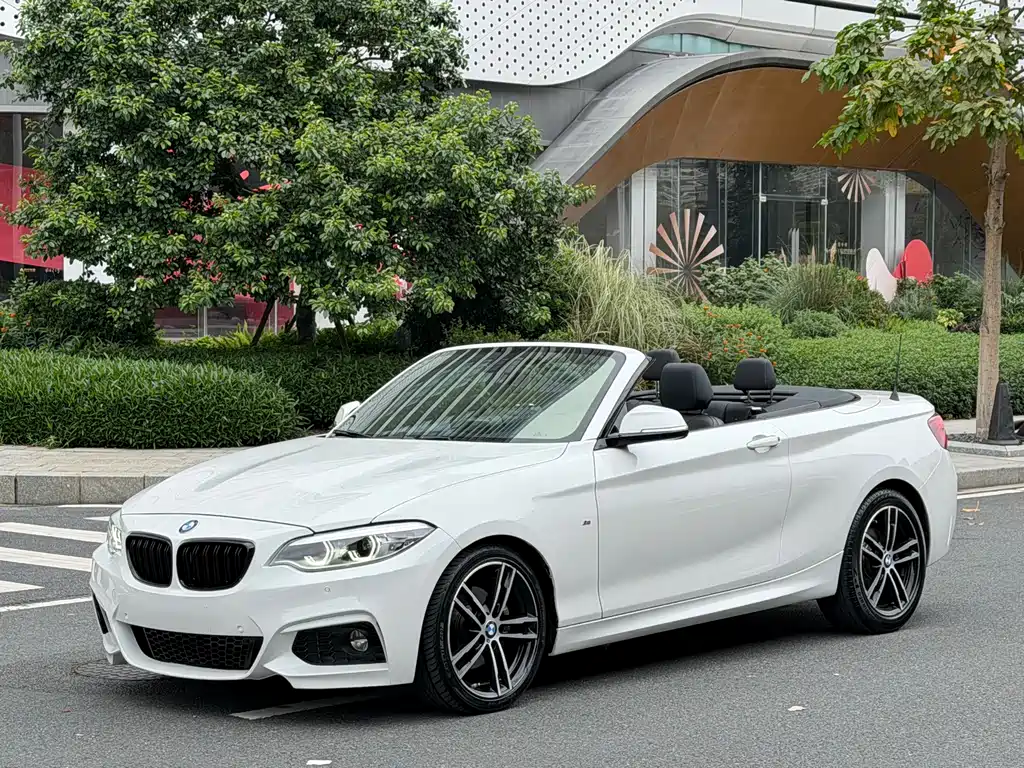 BMW 2 Series (Import) 2019