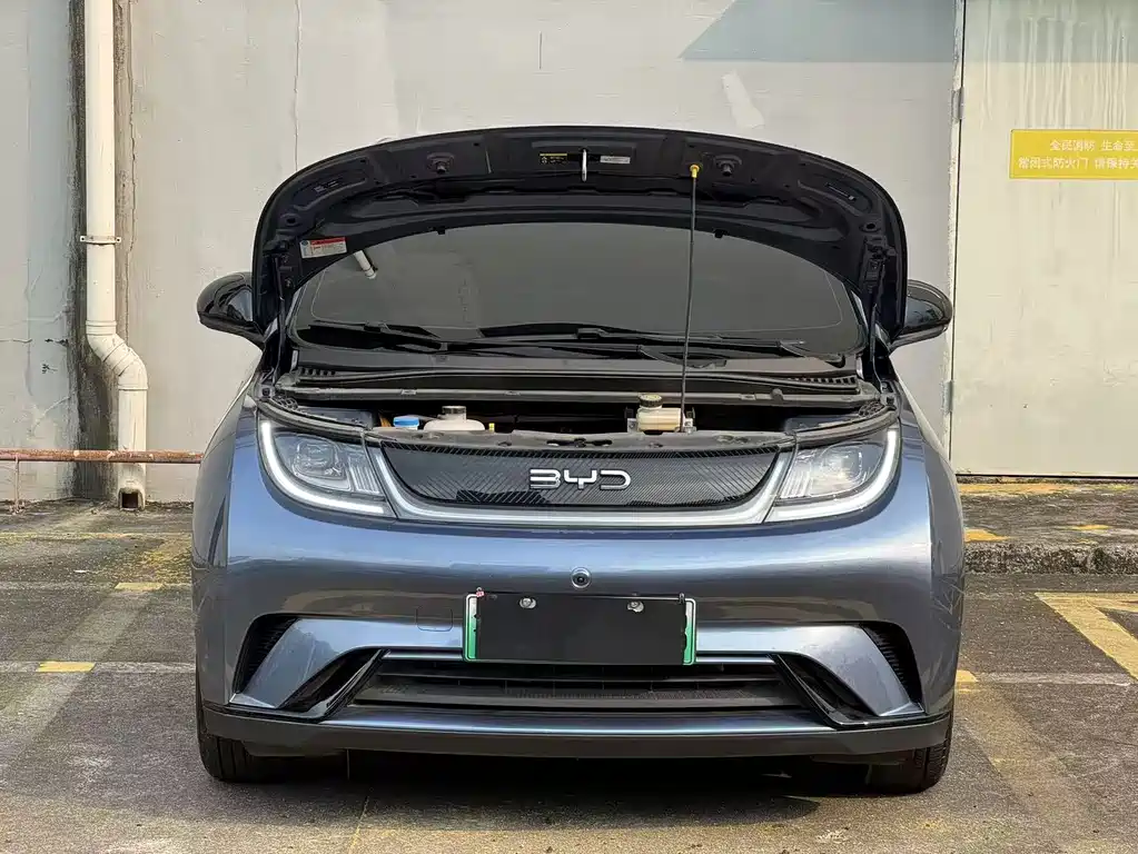 BYD Dolphin — миниатюра 11