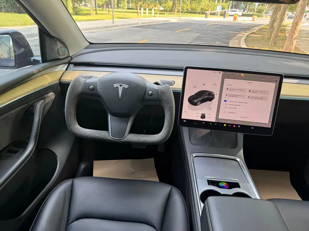 Tesla Model Y — миниатюра 8