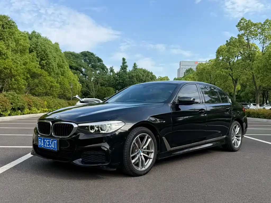 BMW 5 Series 2019