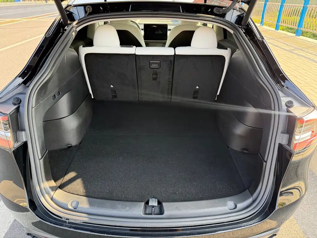 Tesla Model Y — миниатюра 13