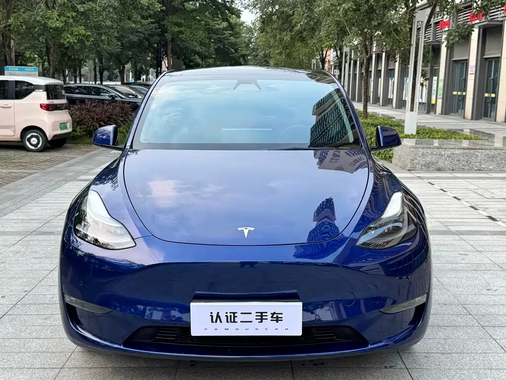 Tesla Model Y — миниатюра 2