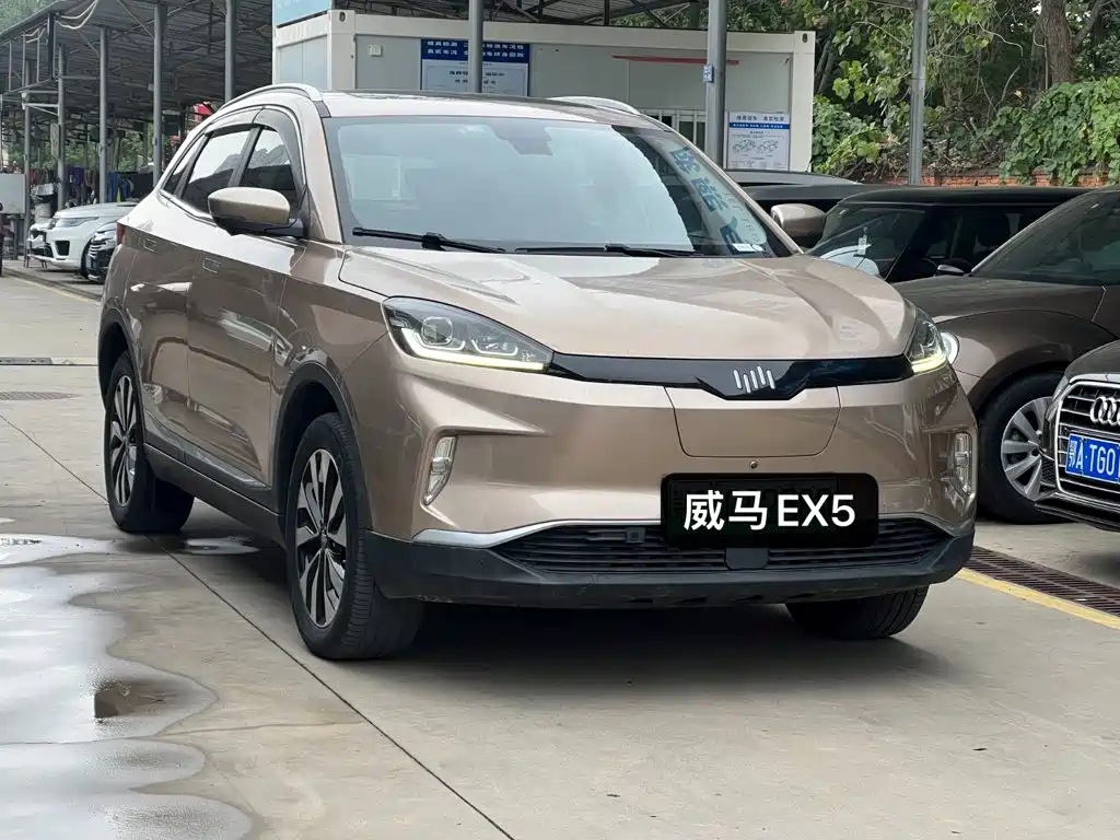WM Motor EX5 — миниатюра 3