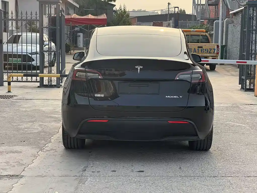 Tesla Model Y — миниатюра 14
