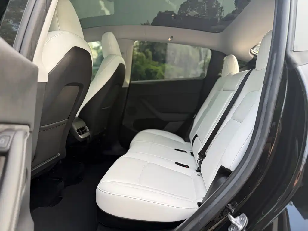 Tesla Model Y — миниатюра 6