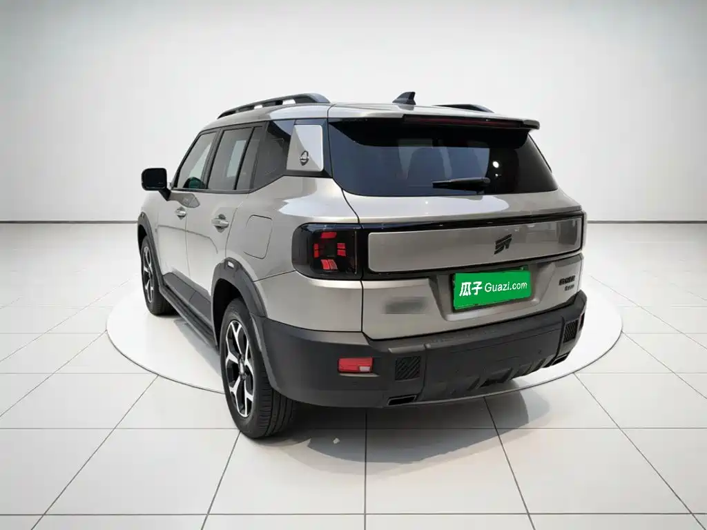 Shanhai Shanhai T1 — миниатюра 4
