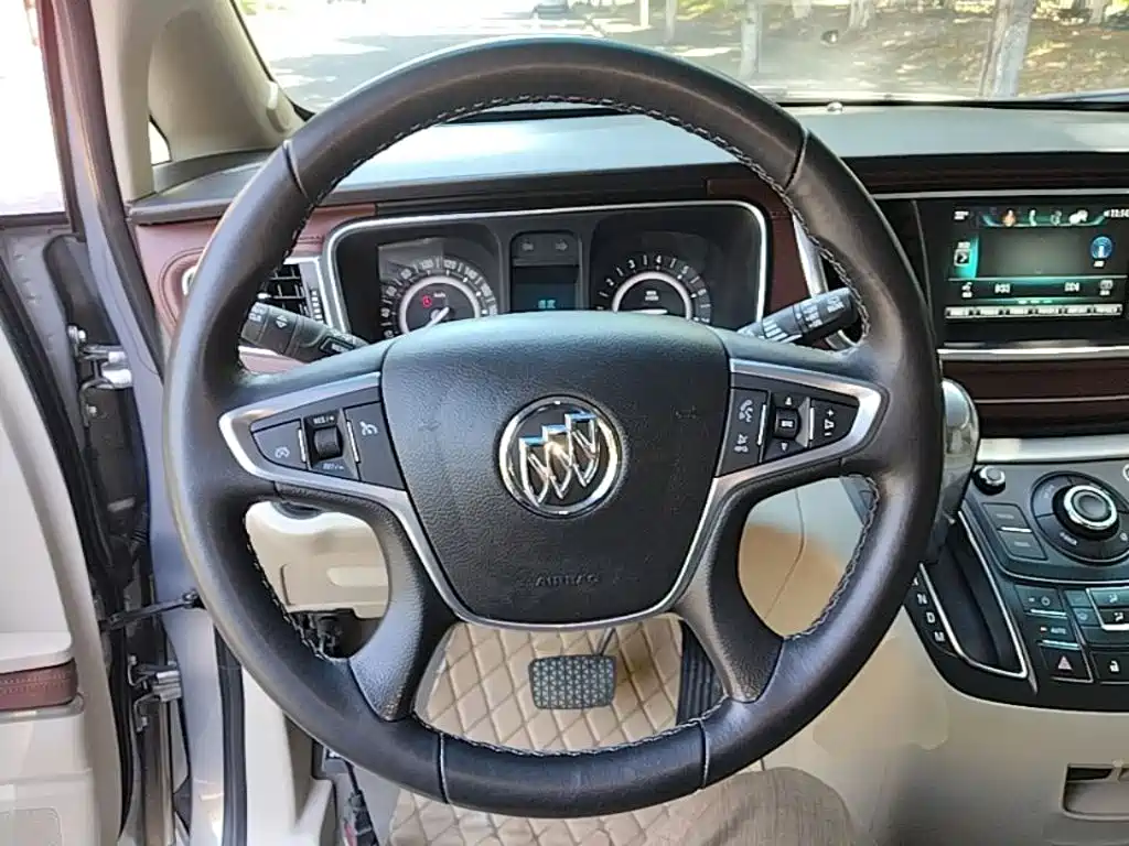 Buick GL8 — миниатюра 11