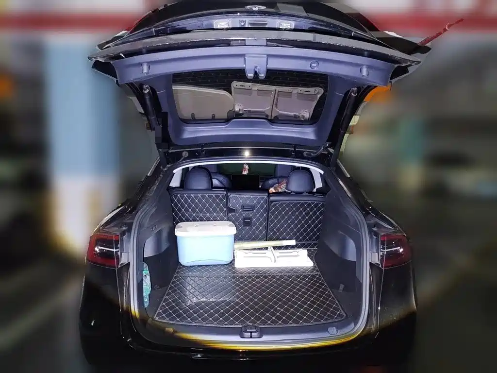 Tesla Model Y — миниатюра 10