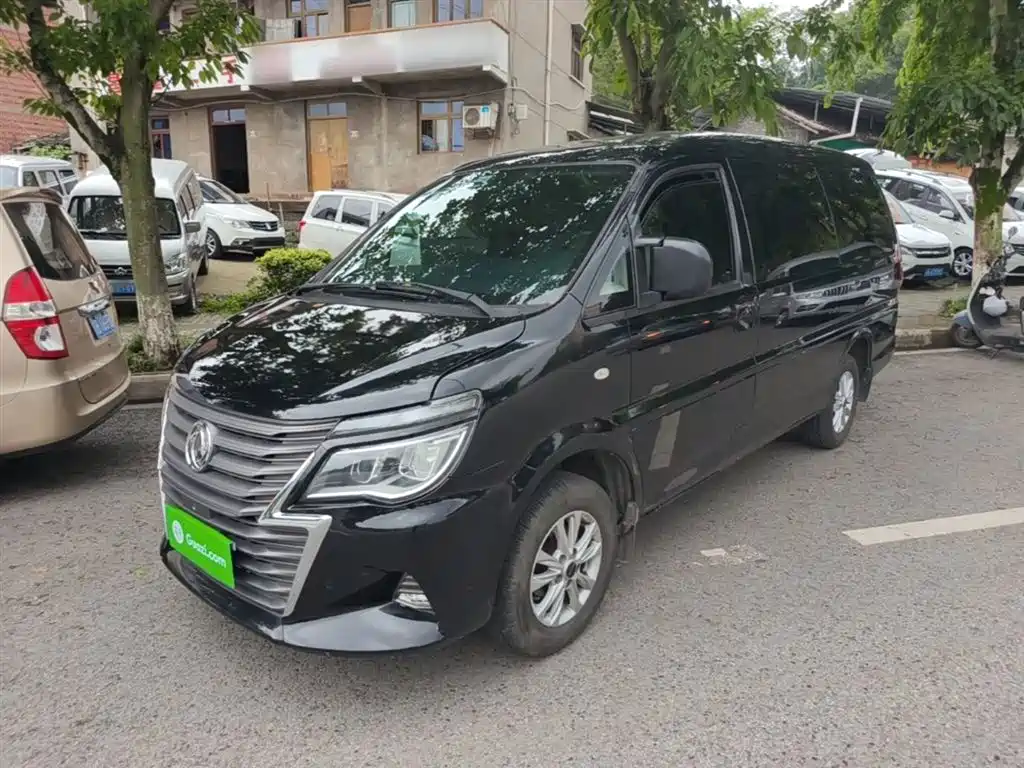 Fengxing Lingzhi 2021