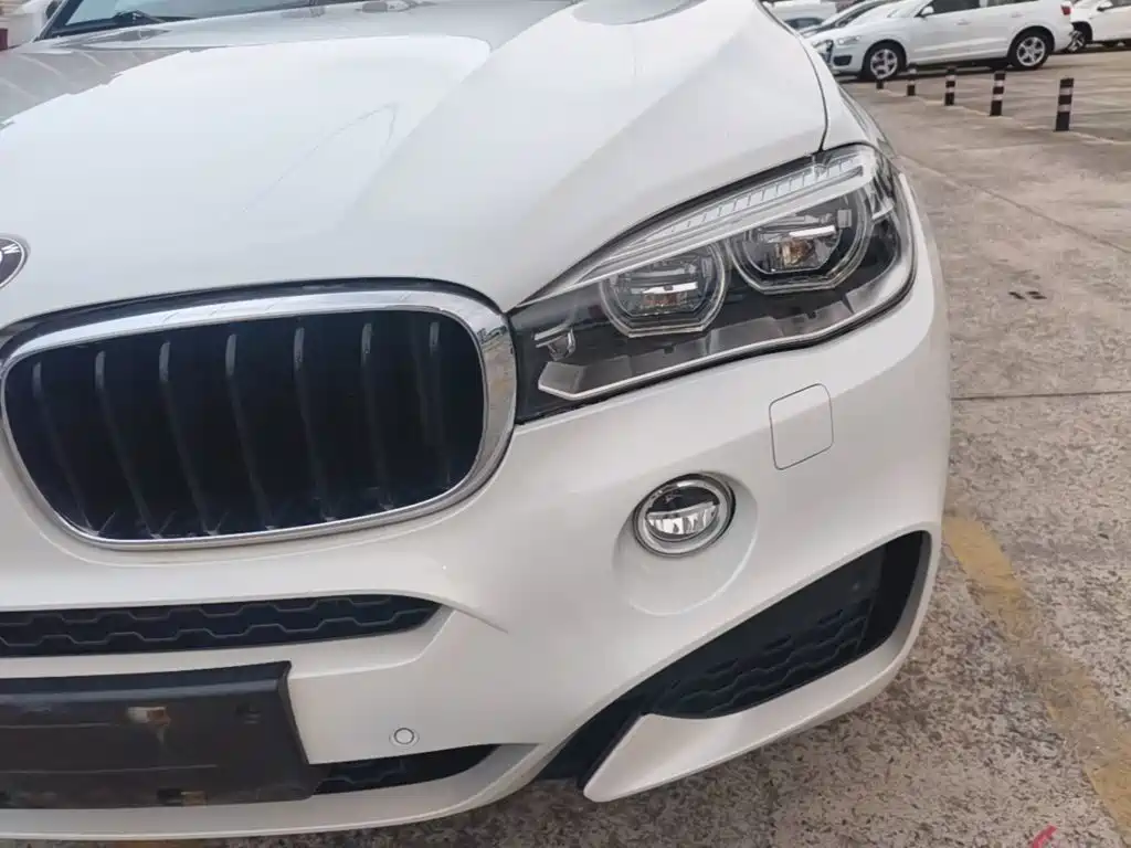 BMW X6 — миниатюра 24