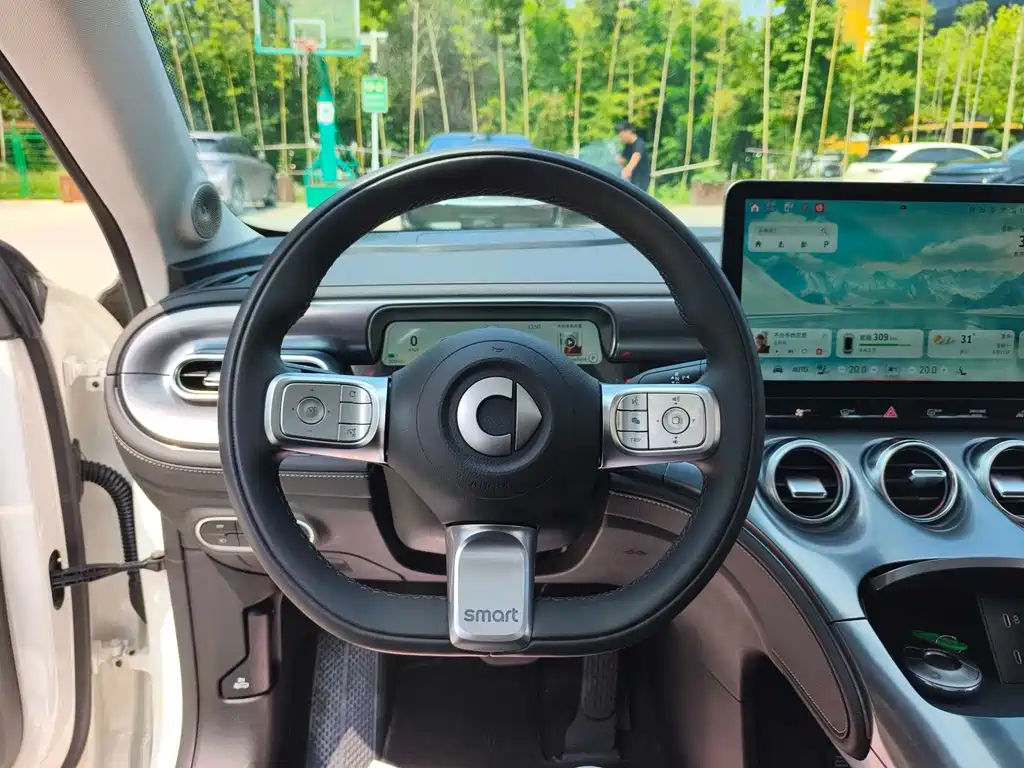 smart Smart #3 — миниатюра 8