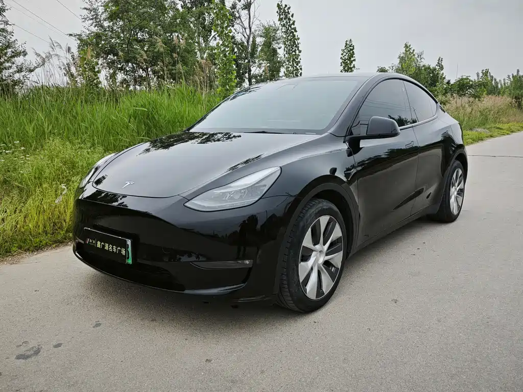 Tesla Model Y 2021