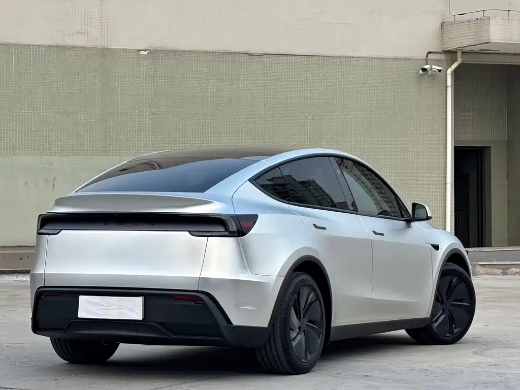 Tesla Model Y — миниатюра 10
