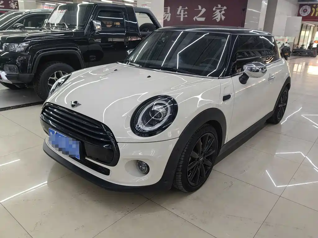 Mini Mini 2020