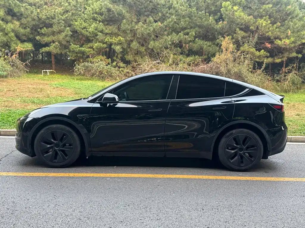 Tesla Model Y — миниатюра 2