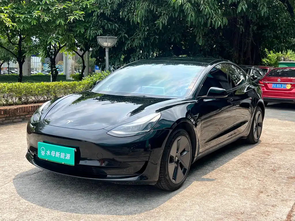 Tesla Model 3 2022