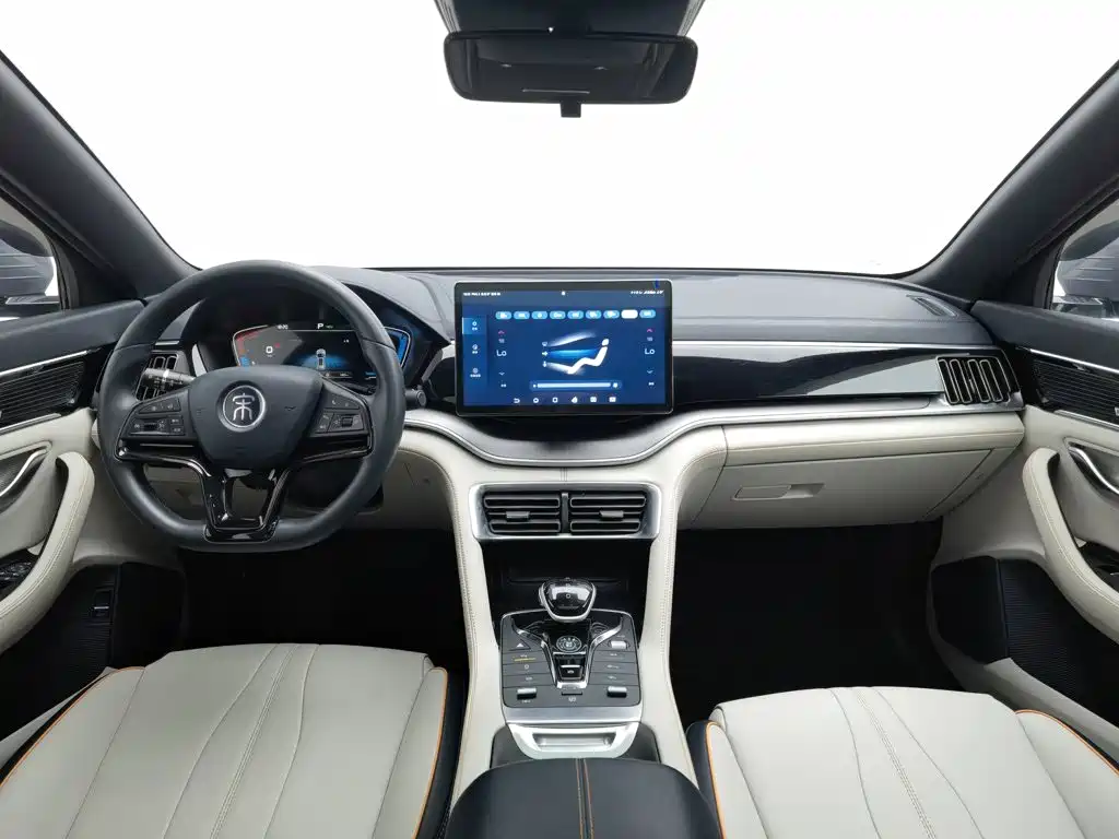 BYD PLUS New Energy — миниатюра 5