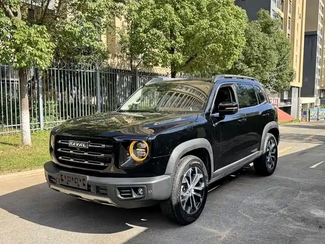 Haval Big Dog