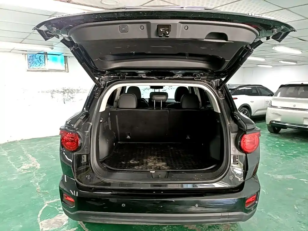 Haval Big Dog PLUS — миниатюра 19