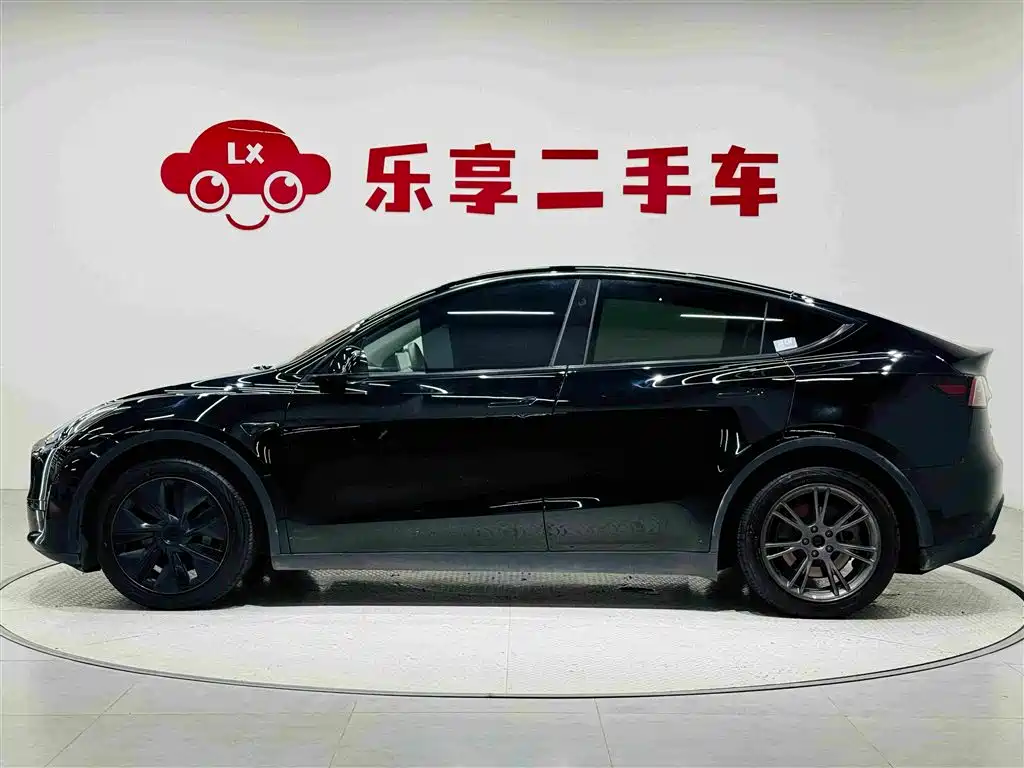 Tesla Model Y — миниатюра 2