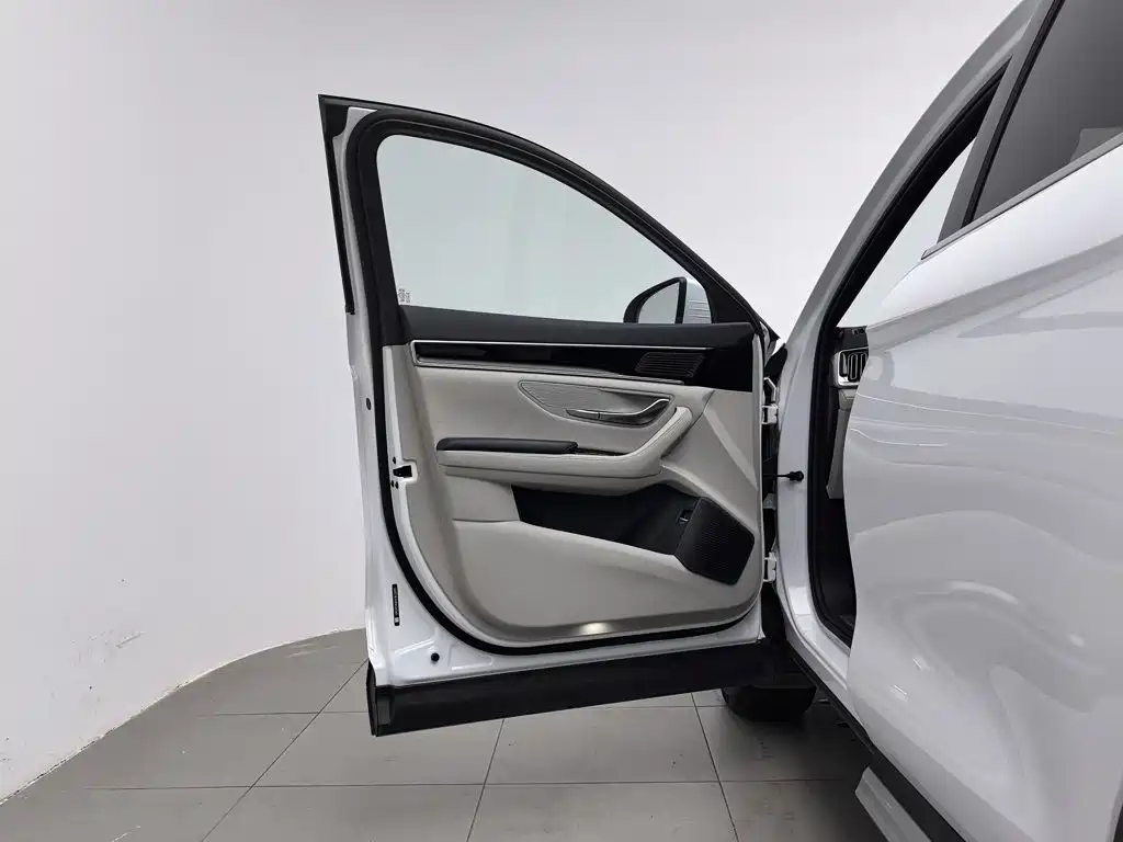 BYD PLUS New Energy — миниатюра 8