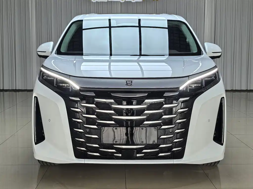 BYD Xia — миниатюра 2