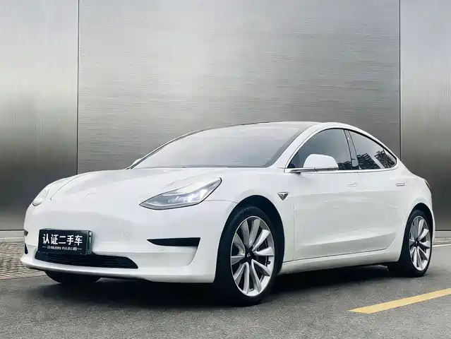 TESLA MODEL 3 2020