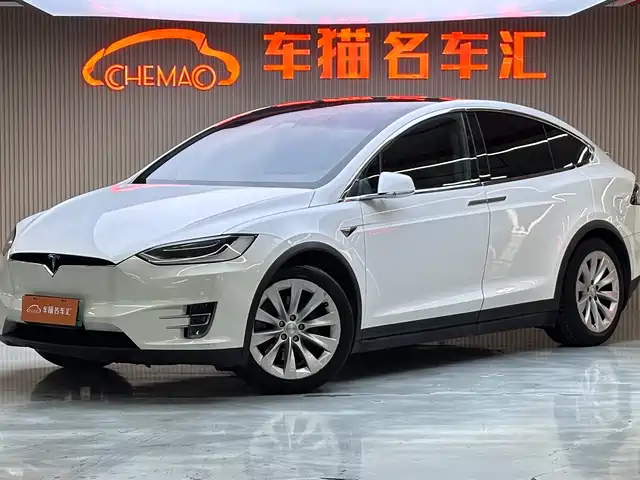 TESLA MODEL X 2018