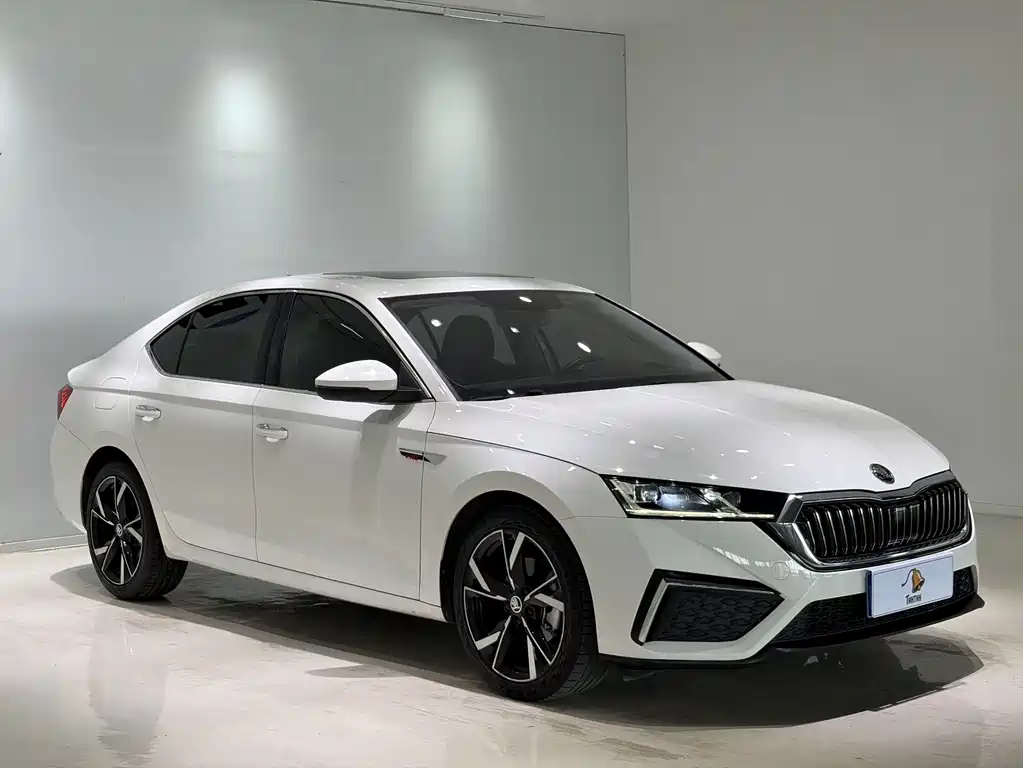 Skoda Octavia PRO TSI280 Luxury Enjoy Edition, фото 3