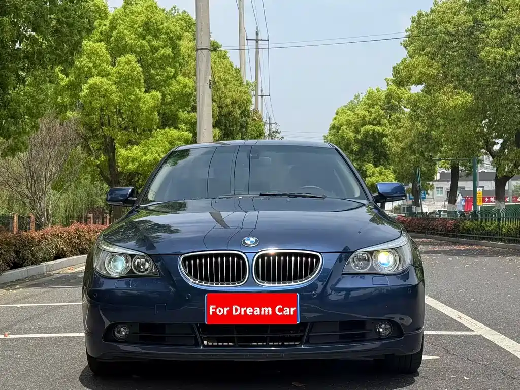 BMW 5 Series 5 2007 530Li Elegant