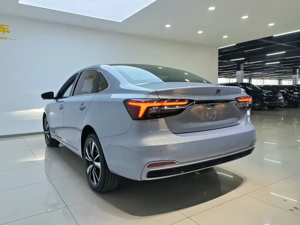 RISING AUTO FEIFAN ER6