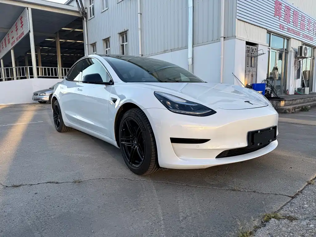 Tesla Model 3 — миниатюра 3