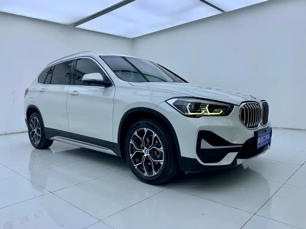 BMW X1 sDrive20Li Premium Type, фото 5