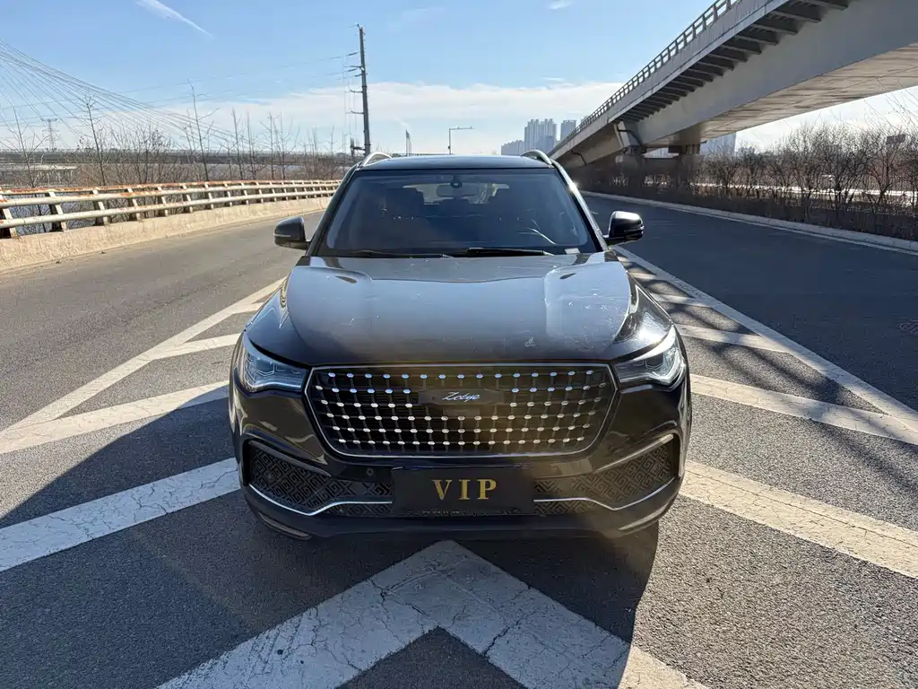 ZOTYE T700