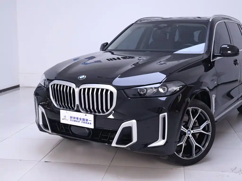 BMW X5 — миниатюра 3