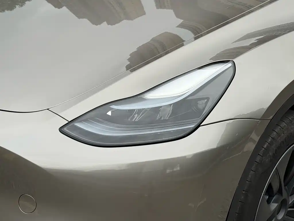 Tesla Model Y — миниатюра 4