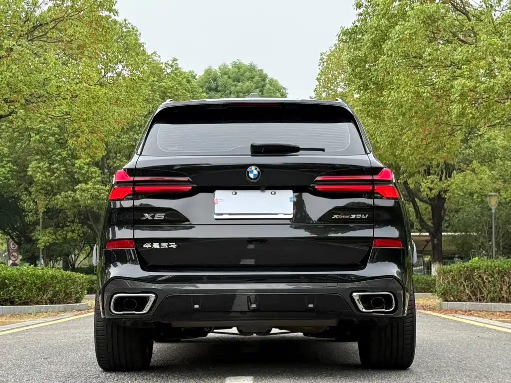 BMW X5 — миниатюра 5
