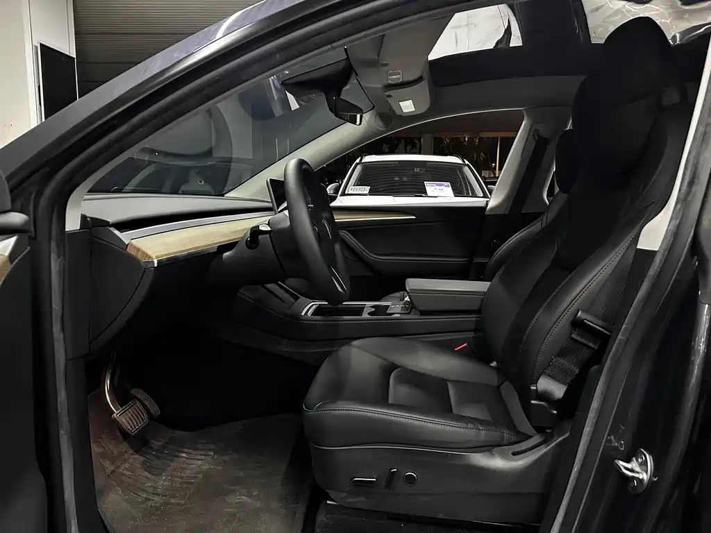 Tesla Model Y — миниатюра 8